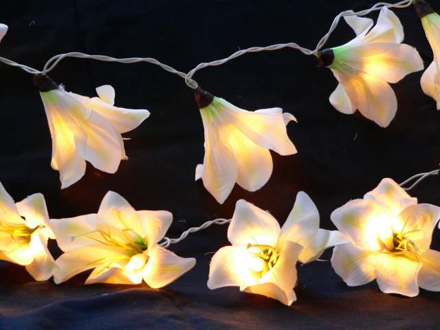 White Lily - fairy lights